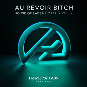 Au Revoir Bitch (Remixes, Vol. 3) - EP