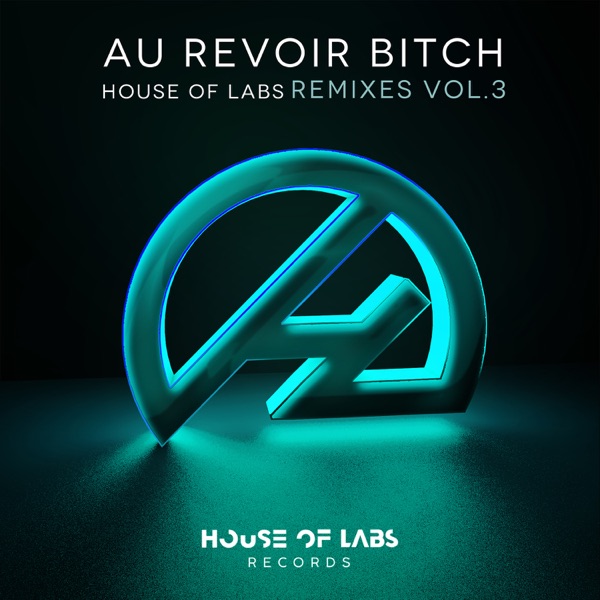 Au Revoir Bitch (Remixes, Vol. 3) - EP