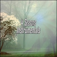 4 Seasons - Rob.D