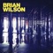 Guess You Had To Be There (feat. Kacey Musgraves) - Brian Wilson lyrics