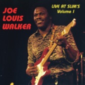 Joe Louis Walker - I Didn't Know