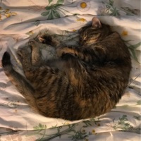 Will You Be Here Tomorrow? (feat. Aso & Mitchel Forman) - Single - Middle School