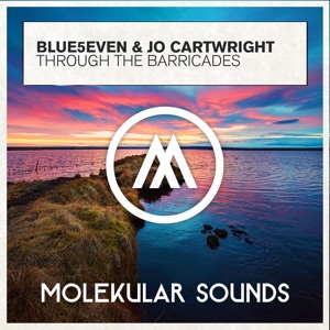 Through the Barricades - Single