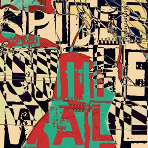 Spider on the Wall - Single