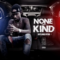 None of a Kind - Single - Joyland Byrd