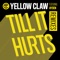 Till It Hurts (feat. Ayden) - Yellow Claw lyrics