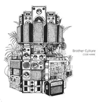 Jump Up Pon It — Brother Culture