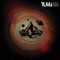 Health, Food, Shelter (feat. Zaki Ibrahim) - Tumi lyrics