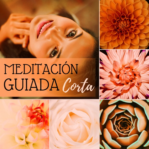Meditación Guiada Corta (Mantra Meditación Profunda con Voz Femenina y Frases de Tranquilidad para Sanación Diaria)