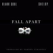 Blakk Soul - Fall Apart (feat. Shelby)