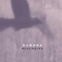 Blackbird - Single - Ramona