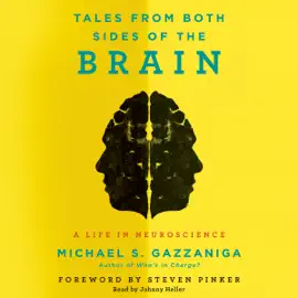 Tales from Both Sides of the Brain