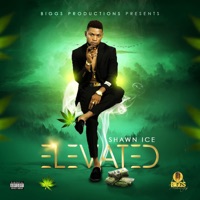 Elevated - Single - Shawn Ice