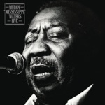 Muddy Waters - Howling Wolf