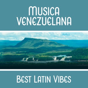 Música venezuelana: Best Latin Vibes