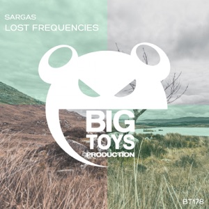Lost Frequencies (Extended Mix)