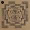 Perceptions of Delusion (Peter Pardeike Remix) - Roman Rai lyrics