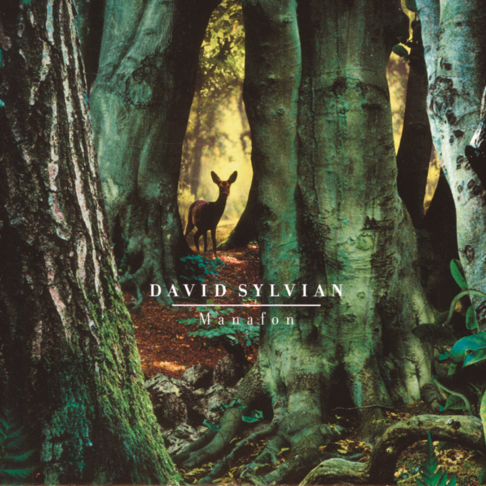 DAVID SYLVIAN シルヴィアン 藤井ユカ 直筆サイン入 限定写真集