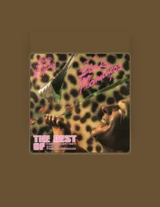 Dave McArtney & The Pink Flamingosを聴いたり、ミュージックビデオを鑑賞したり、経歴やツアー日程などを確認したりしましょう！