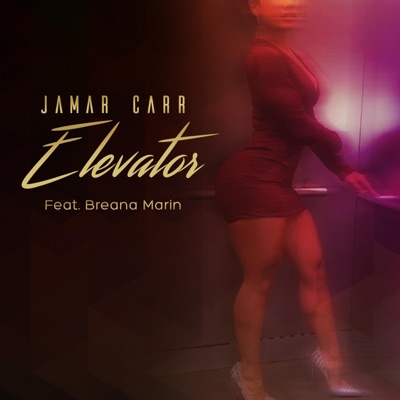 Elevator (feat. Breana Marin) - Single