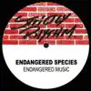 Endangered Species - Ping Pong (Future Jazz Mix)