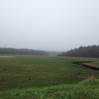 Week 73: The End of Fables - Single - Max García Conover