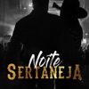 Noite Sertaneja