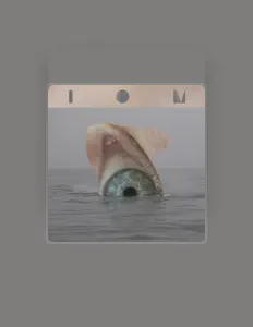 Ascolta Blue Minute, guarda video musicali, leggi la biografia, vedi le date del tour & altro!