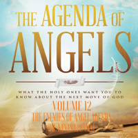 Dr. Kevin L. Zadai - The Agenda of Angels, Volume: 12: The Enemies of Angel Agenda artwork