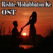 Rishte Mohabbaton Ke (From "Rishte Mohabbaton Ke") artwork