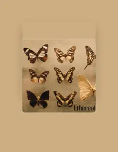 Escucha a Ethereal, mira vídeos musicales, lee la biografía, consulta fechas de giras y mucho más.