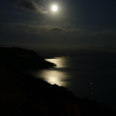 Moonlight - Single