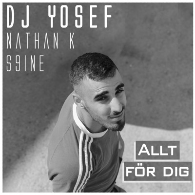Allt för dig - Single