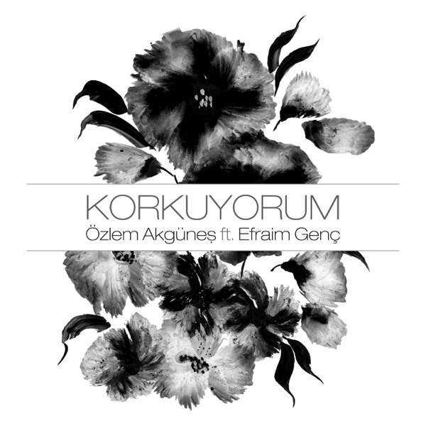 Korkuyorum (feat. Efraim Genç) - Single