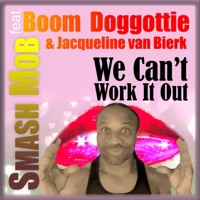 We Can't Work It Out (feat. Boom Doggottie & Jacqueline Van Bierk) - Single - Smash Mob