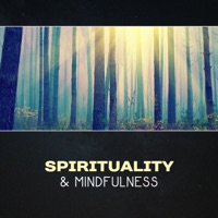Spirituality & Mindfulness – 111 Songs for Meditation, Yoga Relaxation Music, Heal Your Soul, Soothe Your Mind, Feel Good, Self Improvement - Spiritual Transformation Music Academy