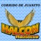 Corrido de Juanito - Halcon Huasteco lyrics
