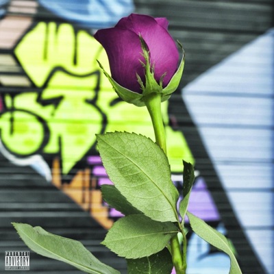 Amor (feat. D-Rod & Jmendez King) - Single