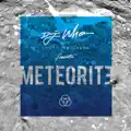 Meteorite