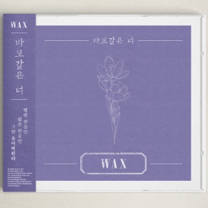 Silly You - Single