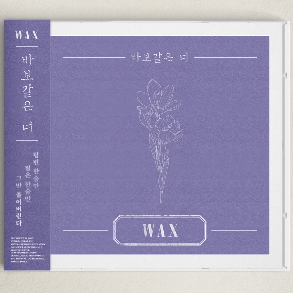 Silly You - Single