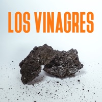Los volcanes se duermen - Single - Los Vinagres