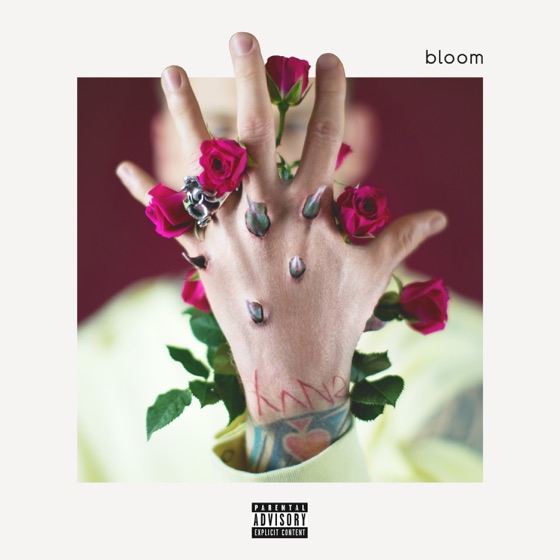 Cover artwork for Habits