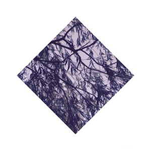 Nomad - Single