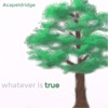 Whatever Is True