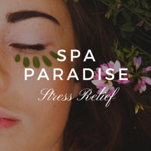 Spa Paradise: Wellness Center Background, Mindfulness Meditation, Stress Relief, Relaxation Massage Therapy