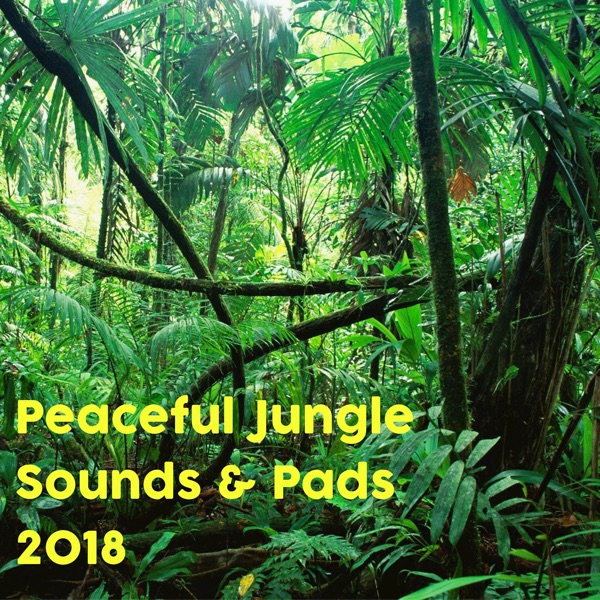 Peaceful Jungle Sounds & Pads for Meditation