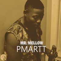 Mr. Mellow - Single - Pmartt