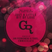 Just a Little Bit of Love (Jan Pienkowski & Fadel Remix) artwork