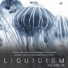 Liquidism, Vol. 4